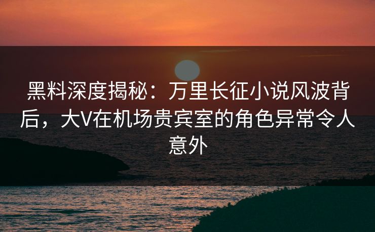 黑料深度揭秘：万里长征小说风波背后，大V在机场贵宾室的角色异常令人意外