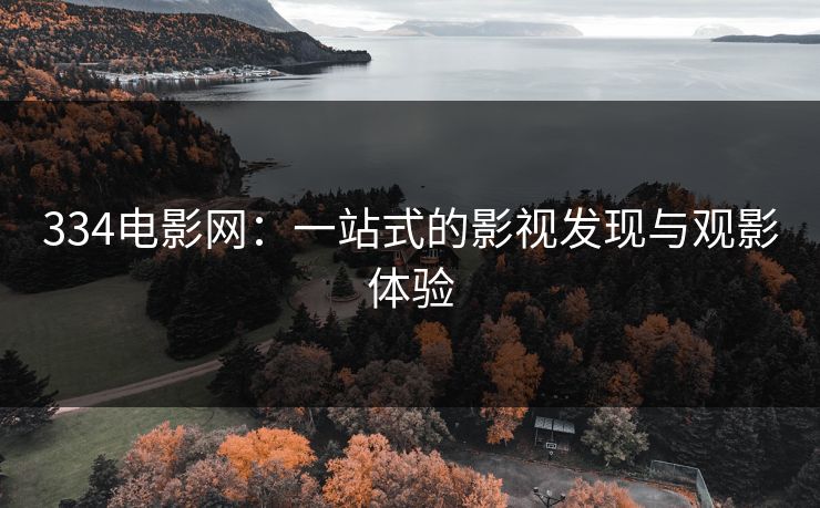 334电影网：一站式的影视发现与观影体验