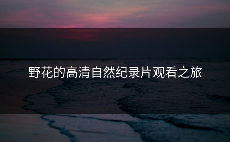 野花的高清自然纪录片观看之旅