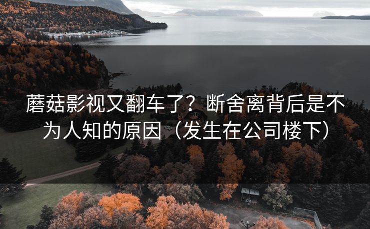 蘑菇影视又翻车了？断舍离背后是不为人知的原因（发生在公司楼下）